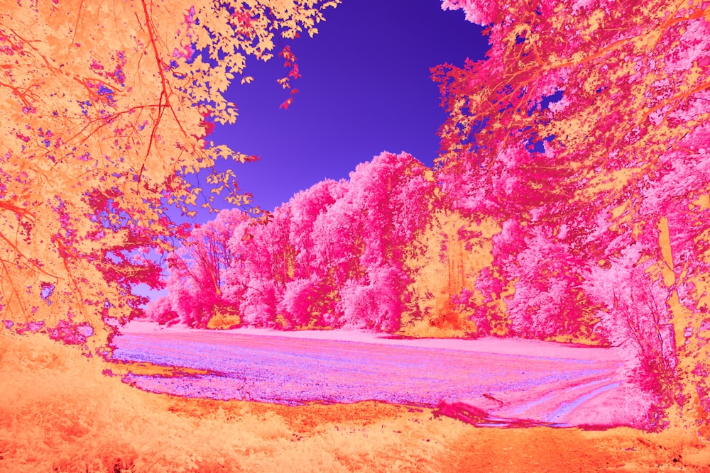 a infrared image of trees in a park