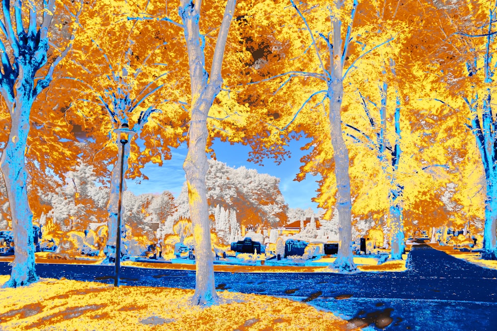 a painting of trees with yellow leaves