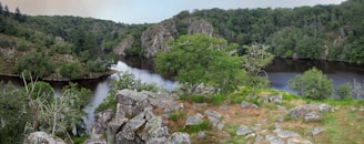 A lush, green forested area is seen surrounding a tranquil body of water, which appears to be a river or lake. The scene includes rocky outcrops and patches of grass, giving a rugged and natural appearance. Trees of various sizes fill the landscape, creating a dense canopy.