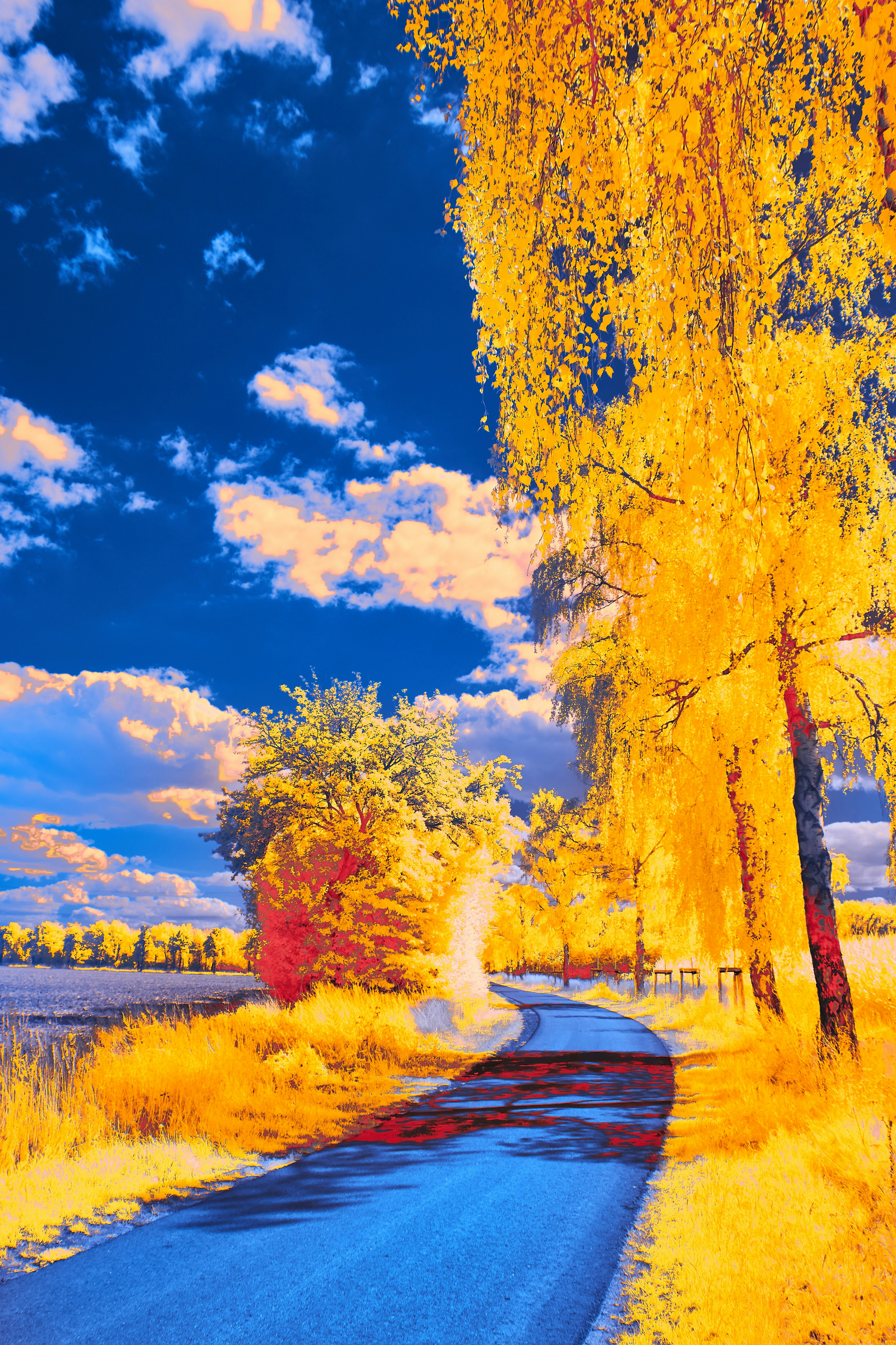 Photo by wolfgang_hasselmann