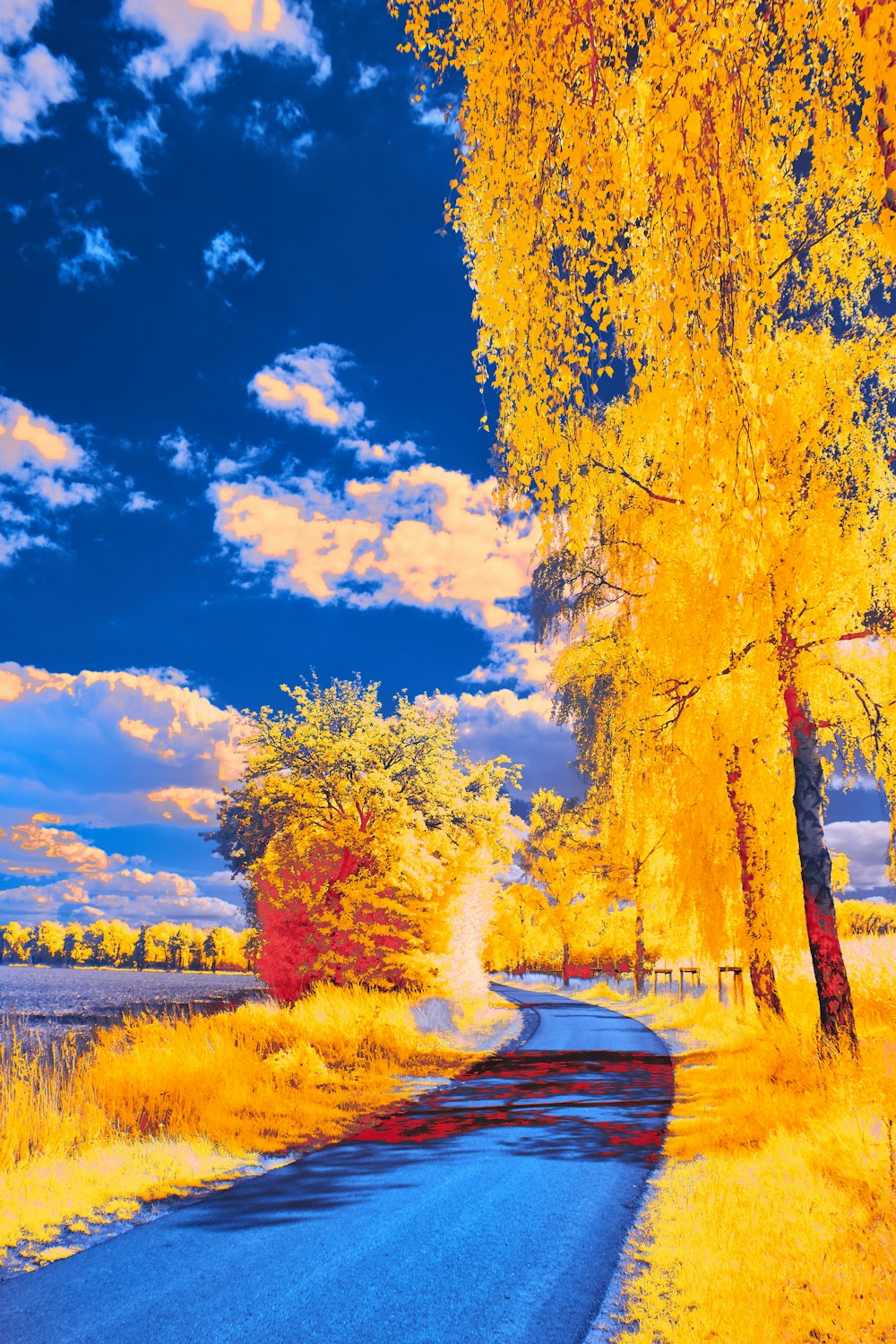 a scenic view of a country road surrounded by trees