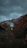A bus stop sign with the words 'Zion Shuttle, Zion Canyon Line, Stop 4' stands against a backdrop of rugged mountains with patches of snow. The scene is framed by dark green foliage, and the sky is overcast with heavy clouds.