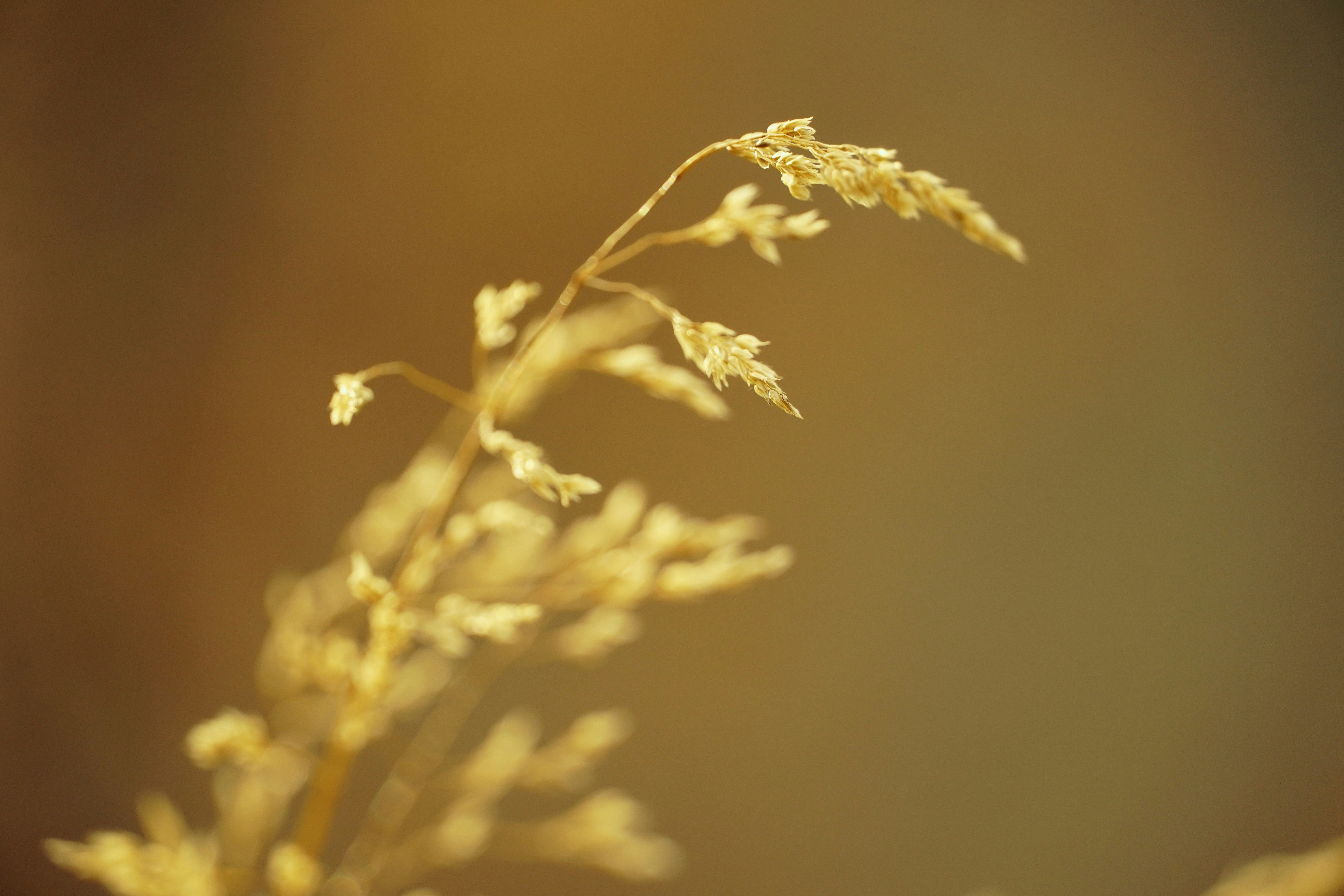 Photo by manuelfroehlich