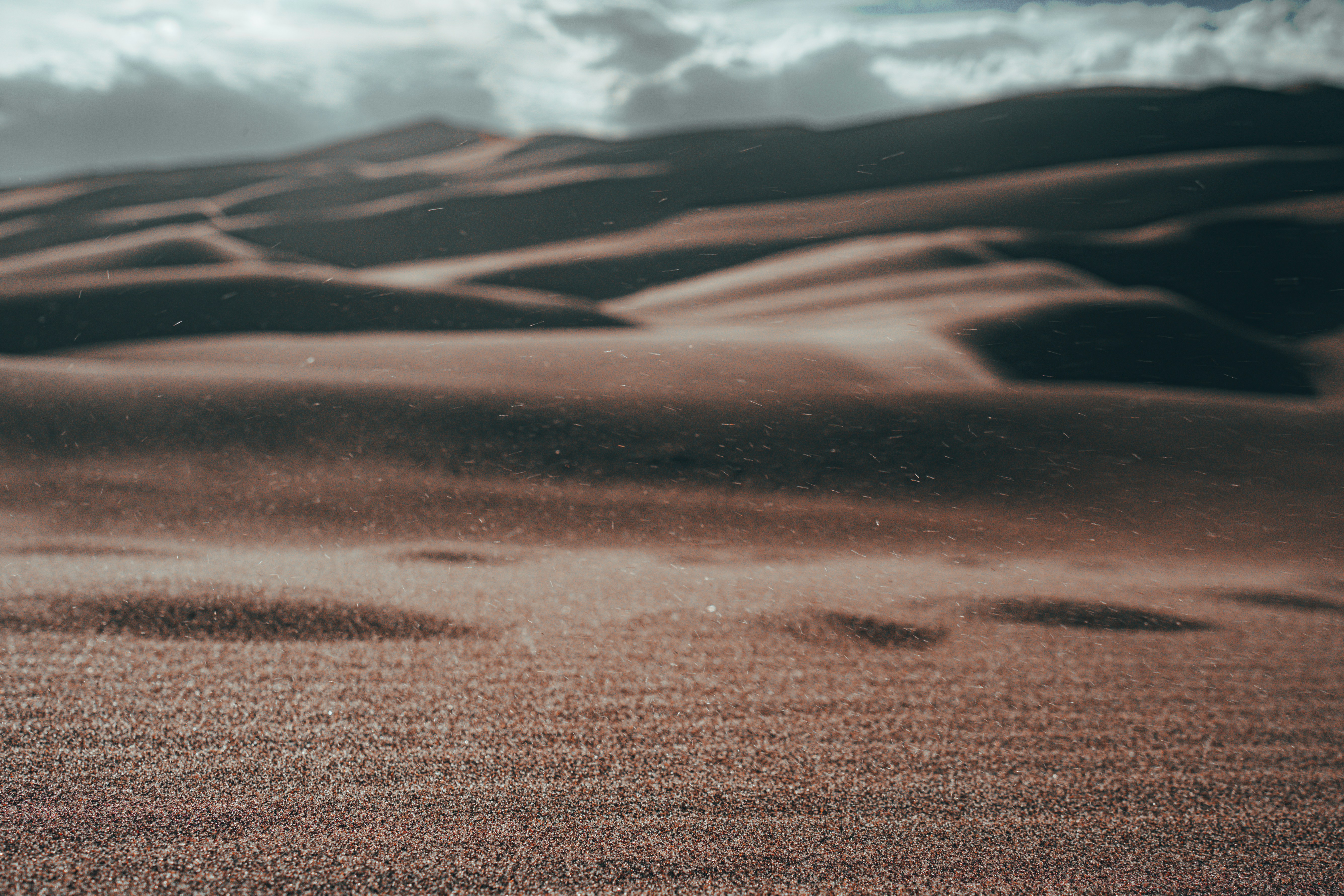 Photo by tomatopictures1