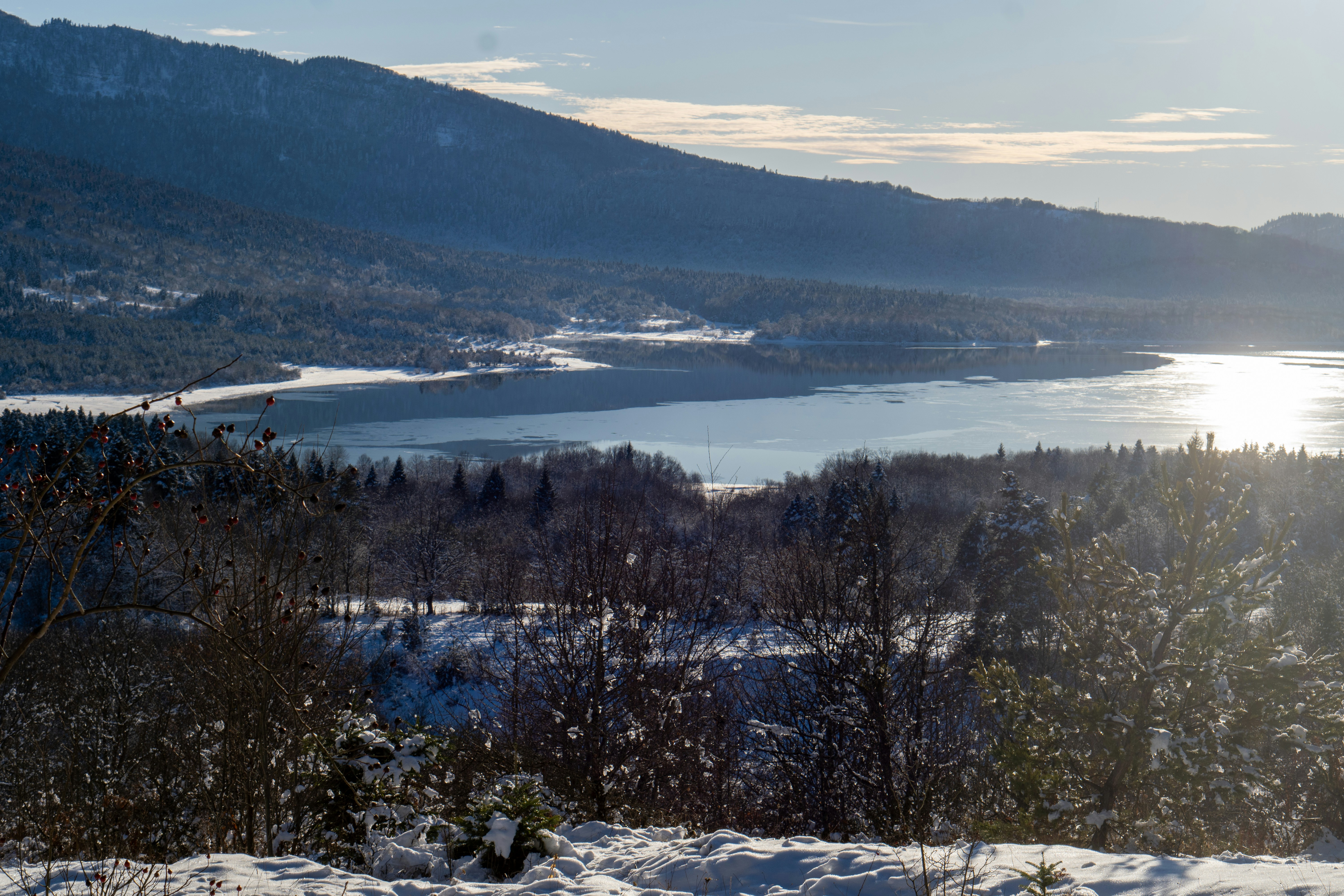 Photo by shabablinchikow