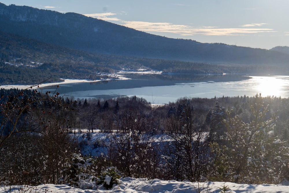 雪に覆われた木々に囲まれた湖の眺め