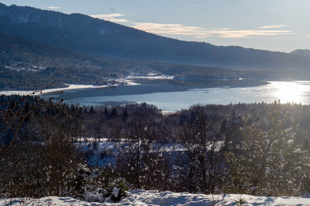 une vue d’un lac entouré d’arbres enneigés