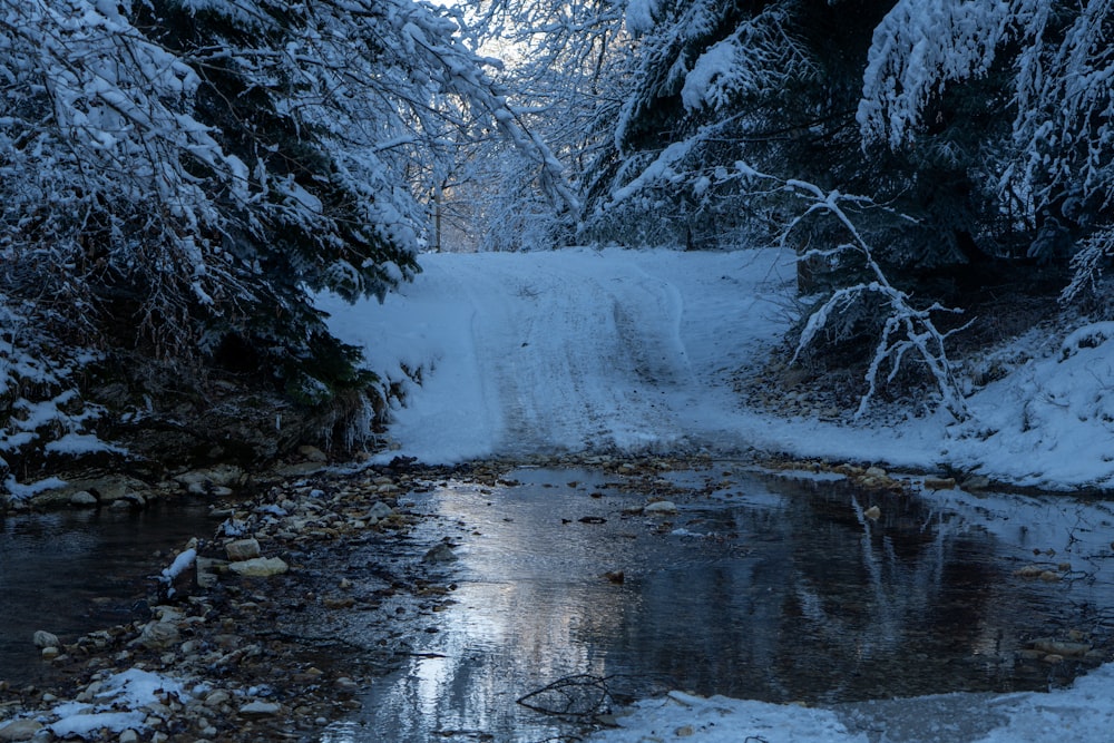 un ruisseau qui coule à travers une forêt enneigée