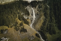 A serene landscape featuring a tall waterfall cascading down a rocky cliff surrounded by dense coniferous forest. The water flows into a stream, winding its way through the lush greenery and meadows. A rustic building is nestled on the lower left, blending into the natural environment.