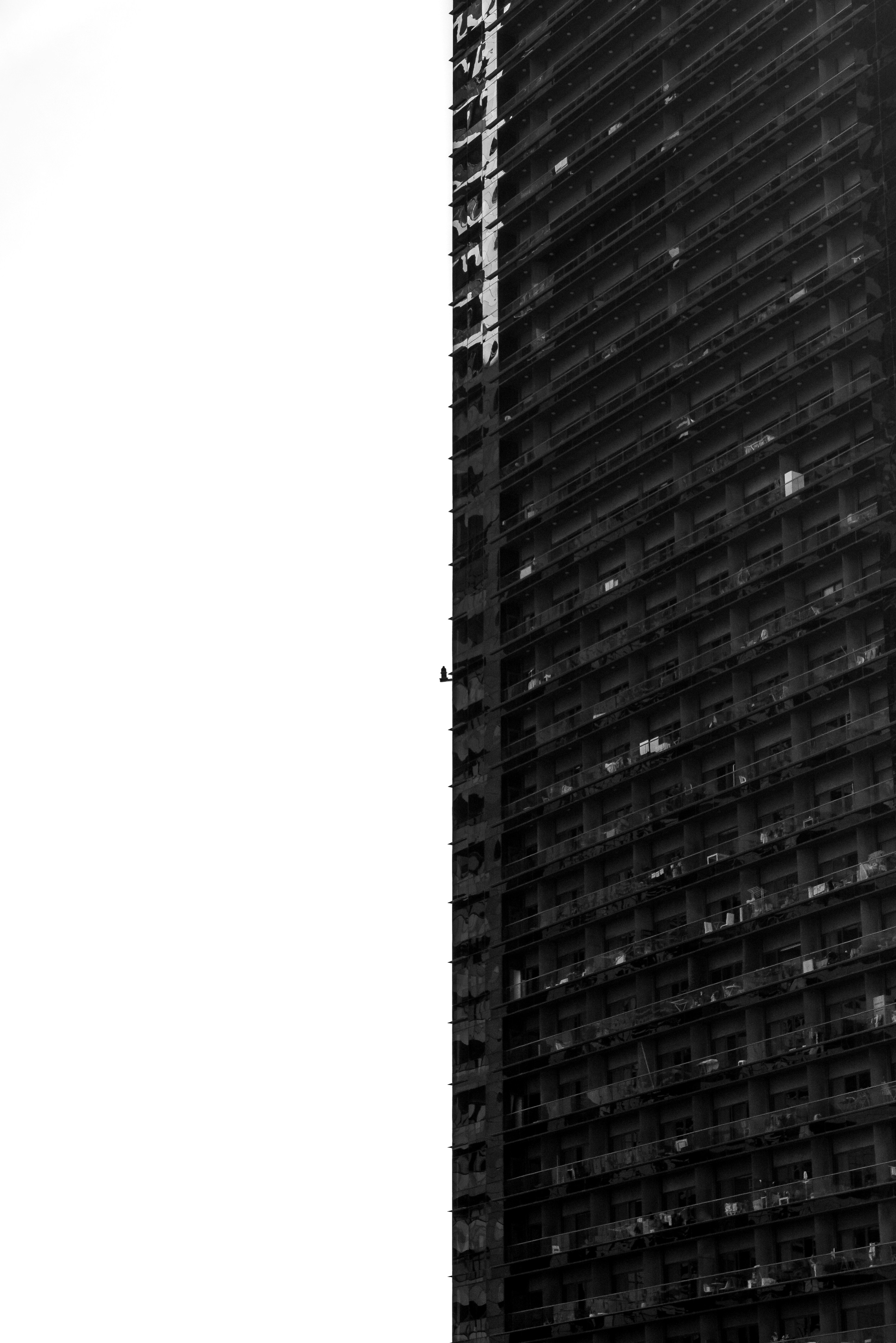 Photo by caleb_david