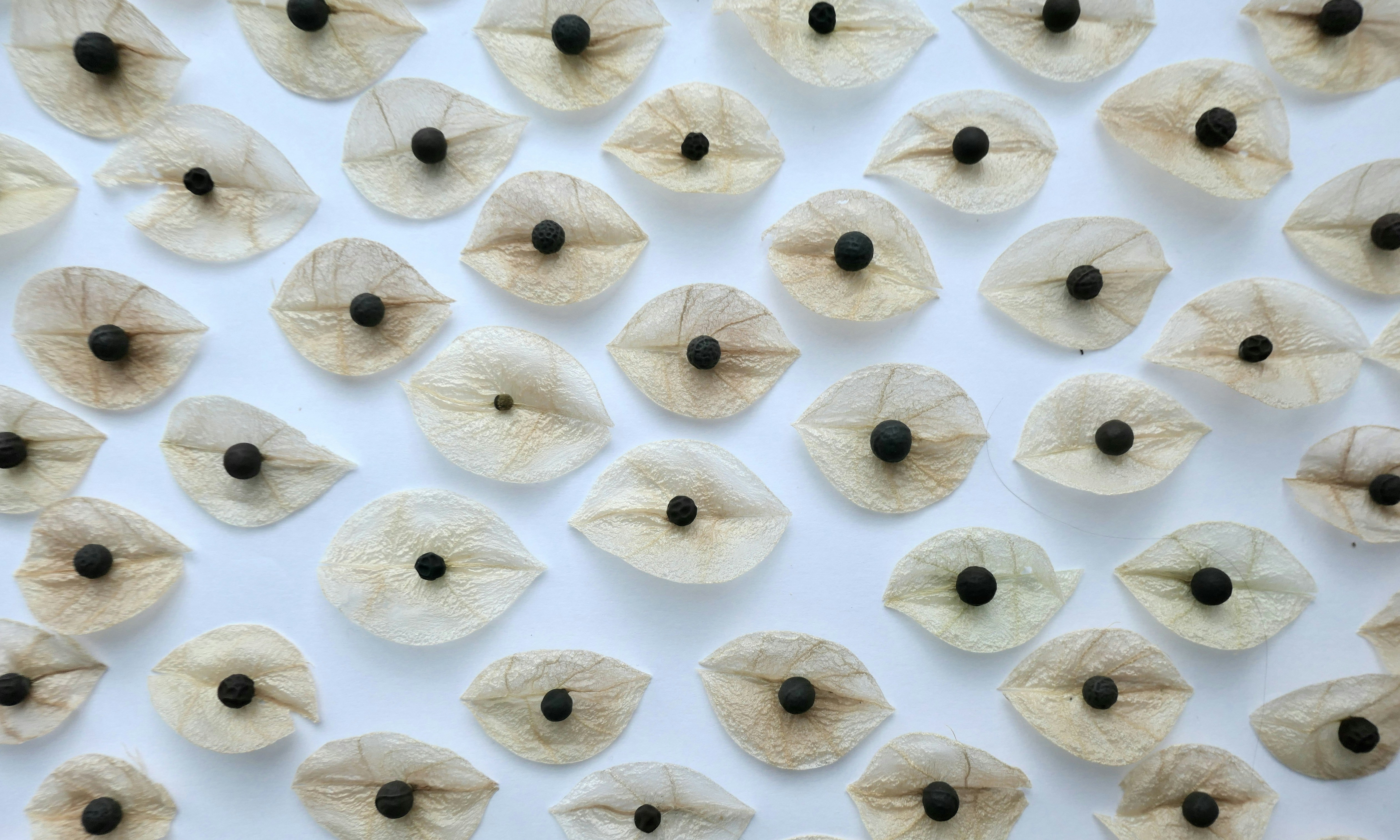 Pistache: O Segredo Nutritivo que Protege a Saúde dos Olhos