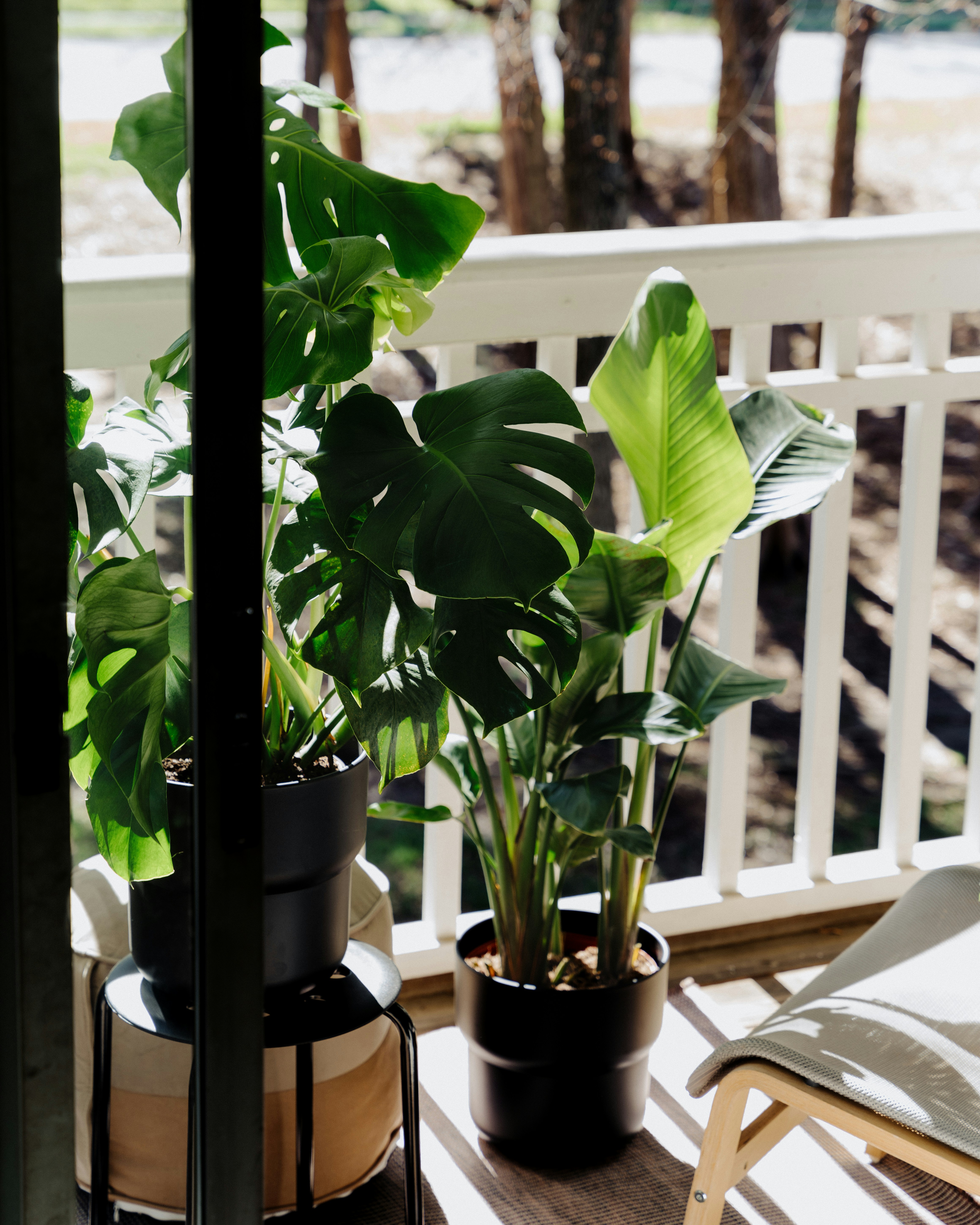 a couple of potted plants sitting on top of a wooden table