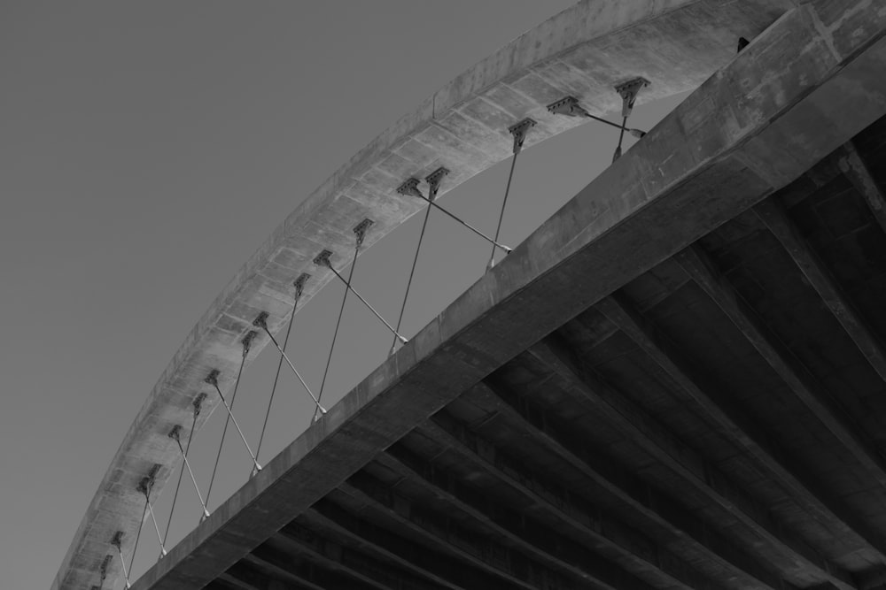 a black and white photo of birds on a bridge