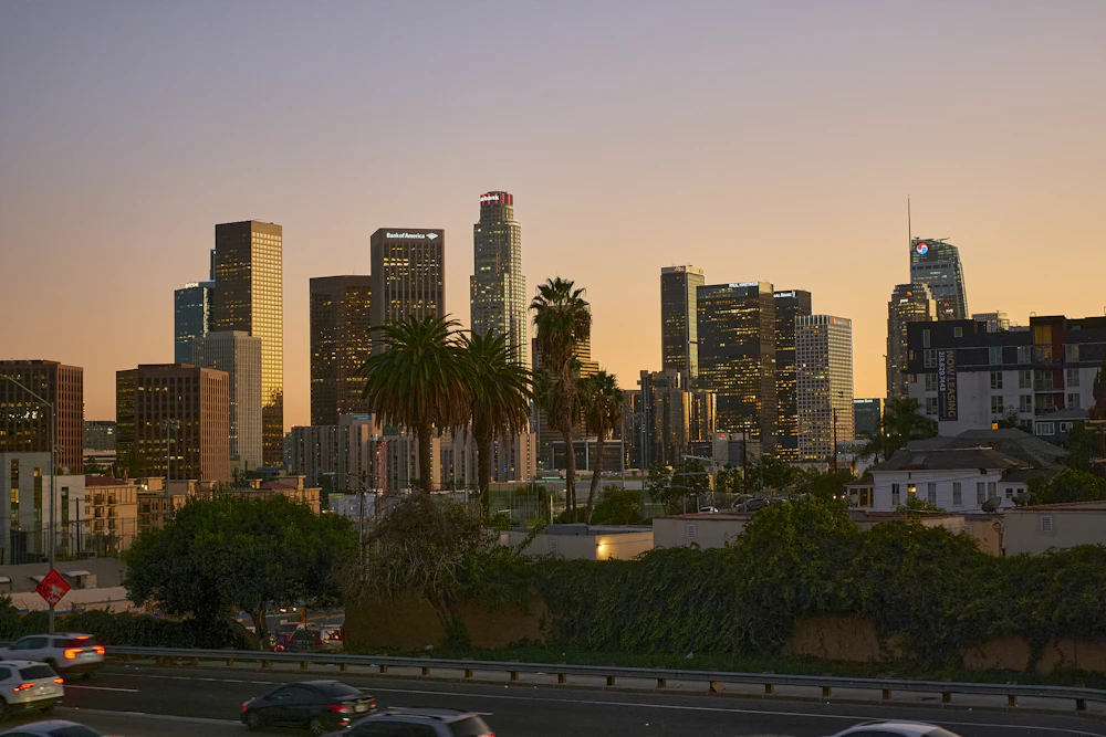 Los Angeles cityscape with palm trees