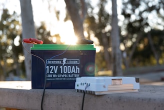 A lithium battery labeled 'Newpowa 12V 100Ah' sits on a concrete surface outdoors. It is connected by cables to a separate white electrical device. The background features blurred trees with sunlight filtering through, creating a warm, natural ambiance.