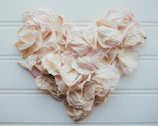 A pastel pink background with scattered rose petals.
