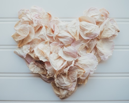 A collection of pale pink and beige dried rose petals arranged in a heart shape on a light, textured background.