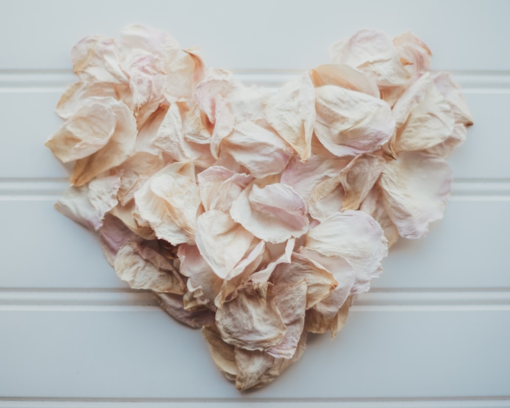 a heart made out of dried flowers on a white background