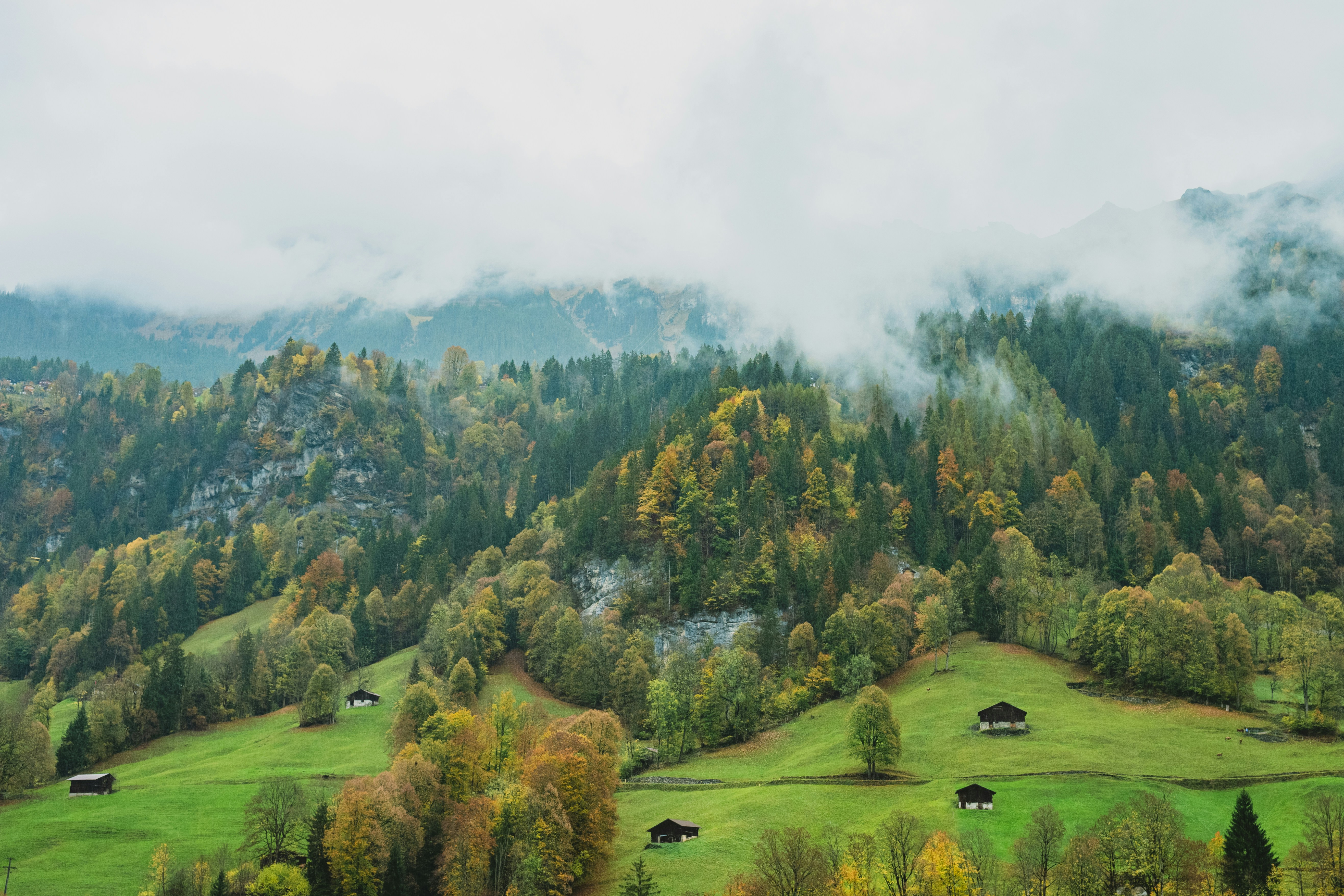 Photo by ryanchondro