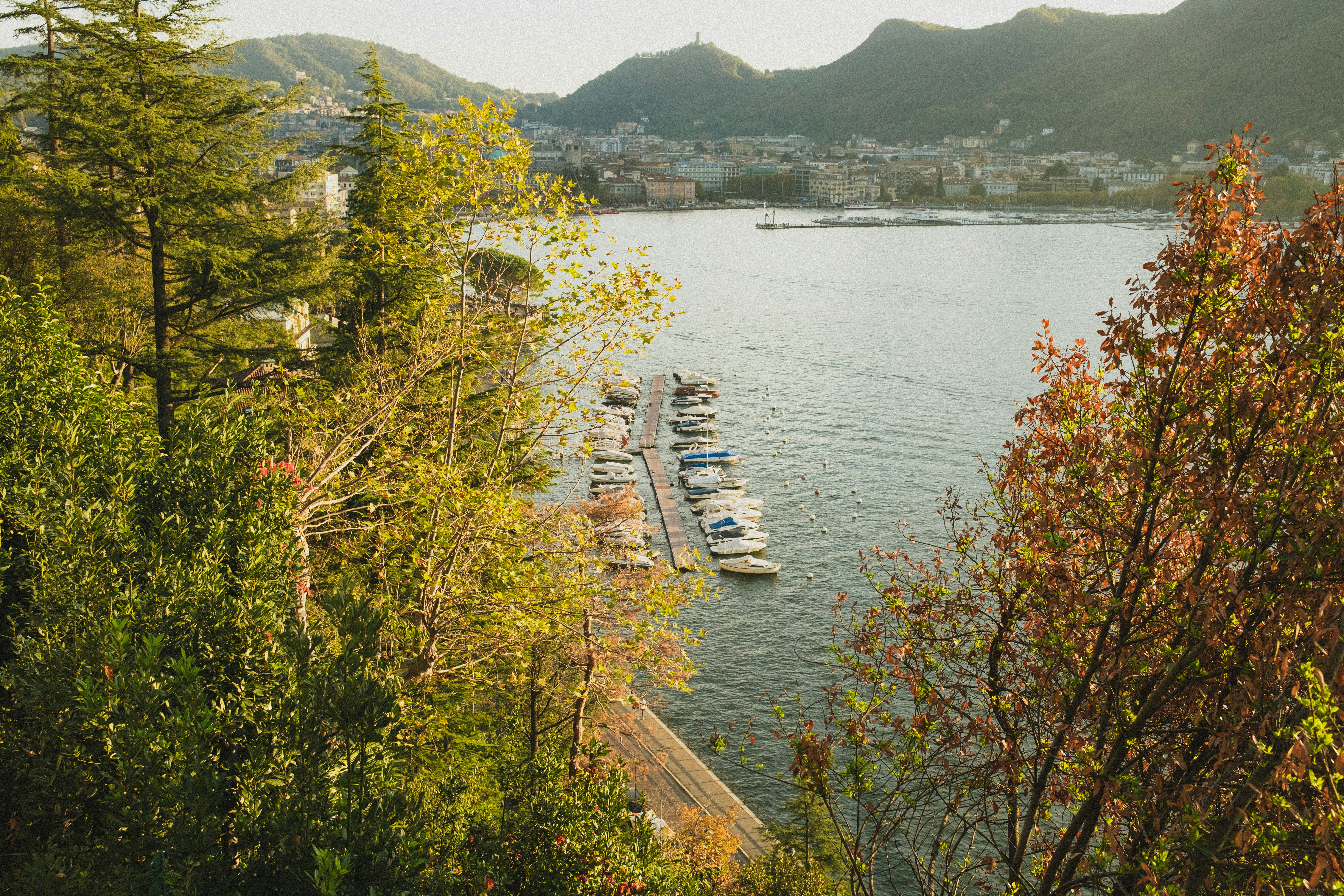 un montón de barcos que están sentados en el agua