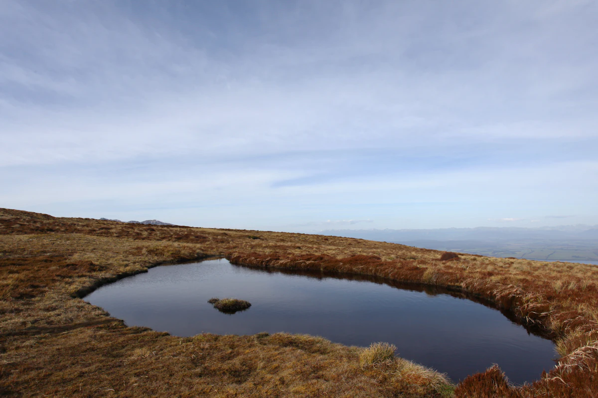 A small tarn in brown tussock on the Kepler Track tops, with the lowlands far off