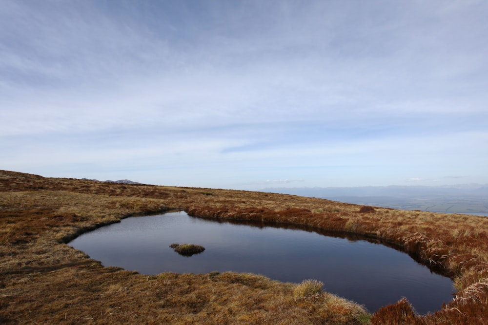 a small pond in the middle of a grassy field