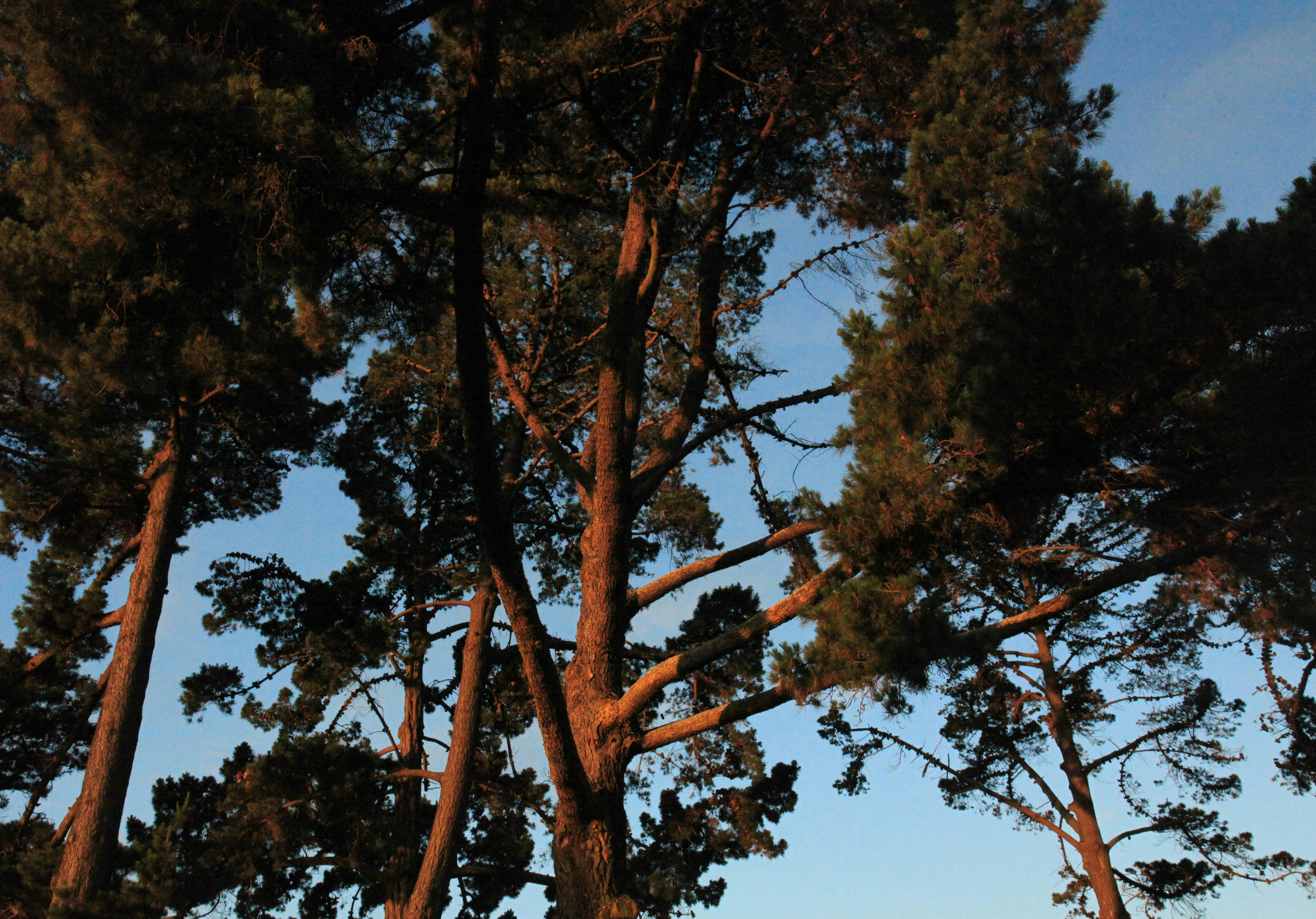 Nelson County, Virginia