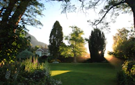 Sunlit scene of relaxed sunbathing in a quiet garden.