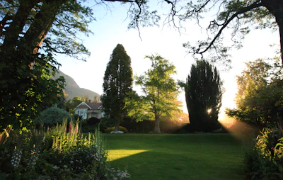 A serene backyard garden featuring lush green lawns and vibrant flower beds under soft sunlight.