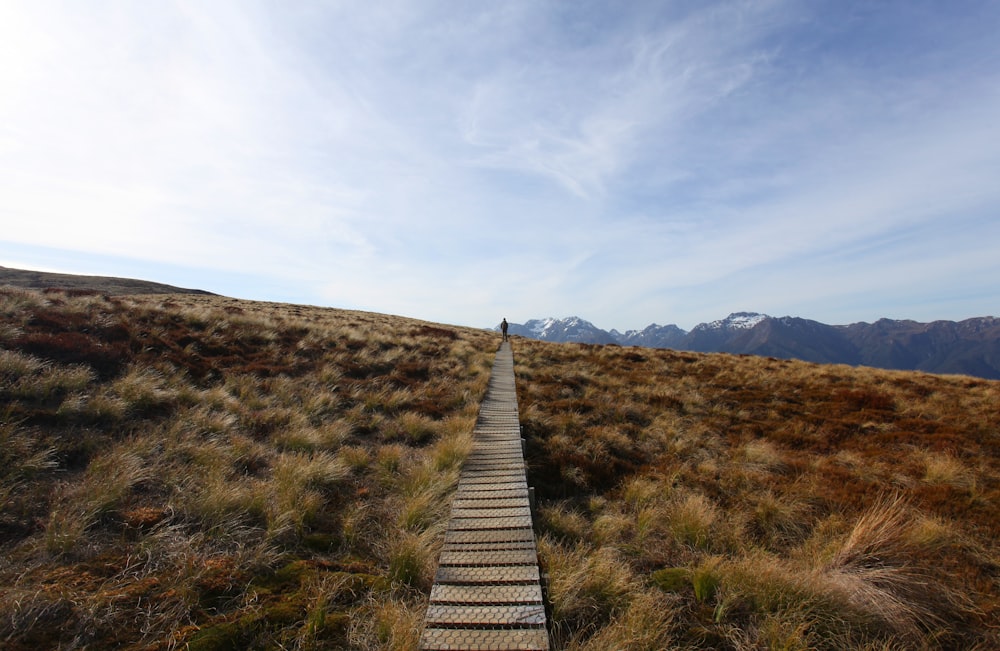 a wooden path going up a hill with mountains in the background