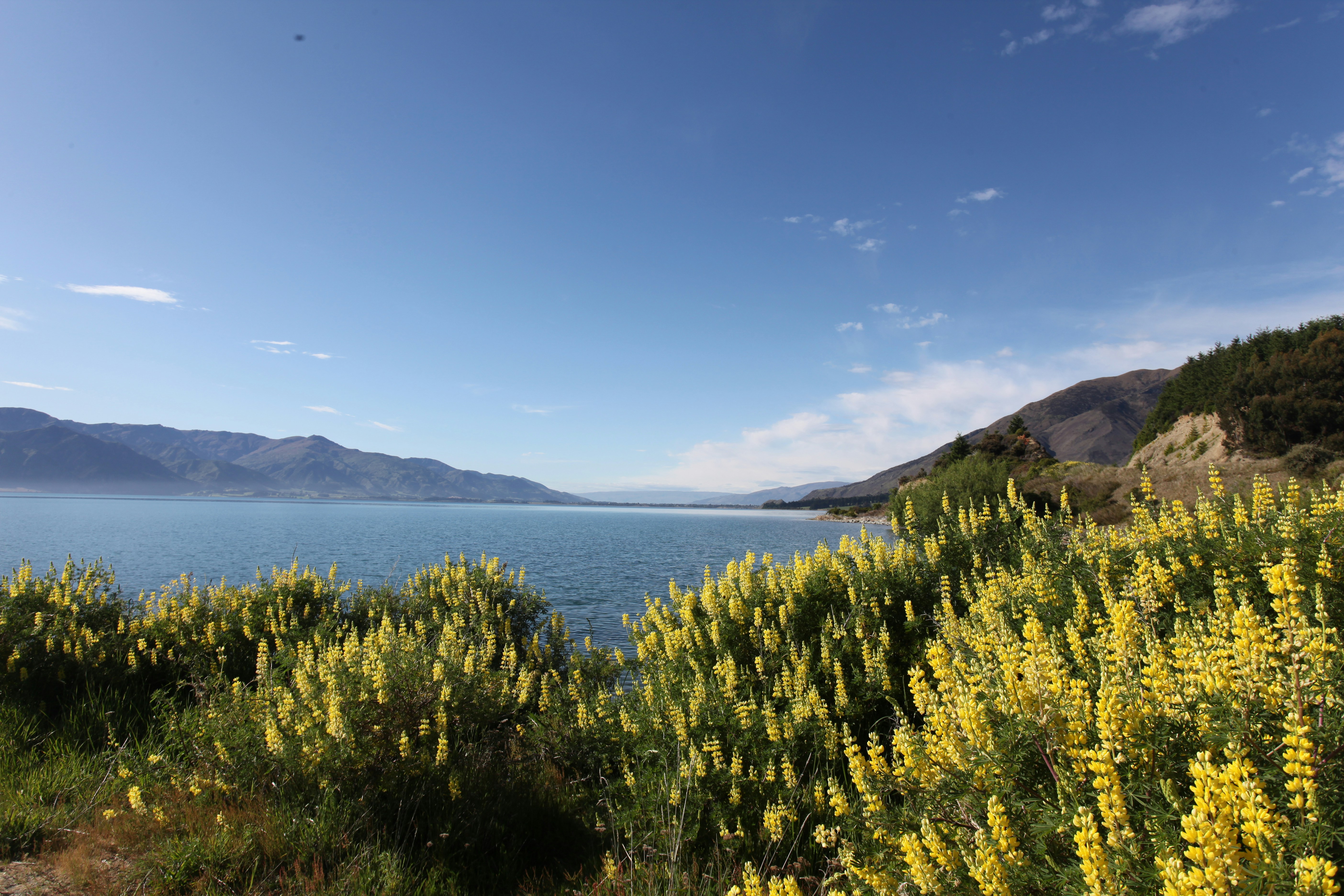 Photo by jenniferyung