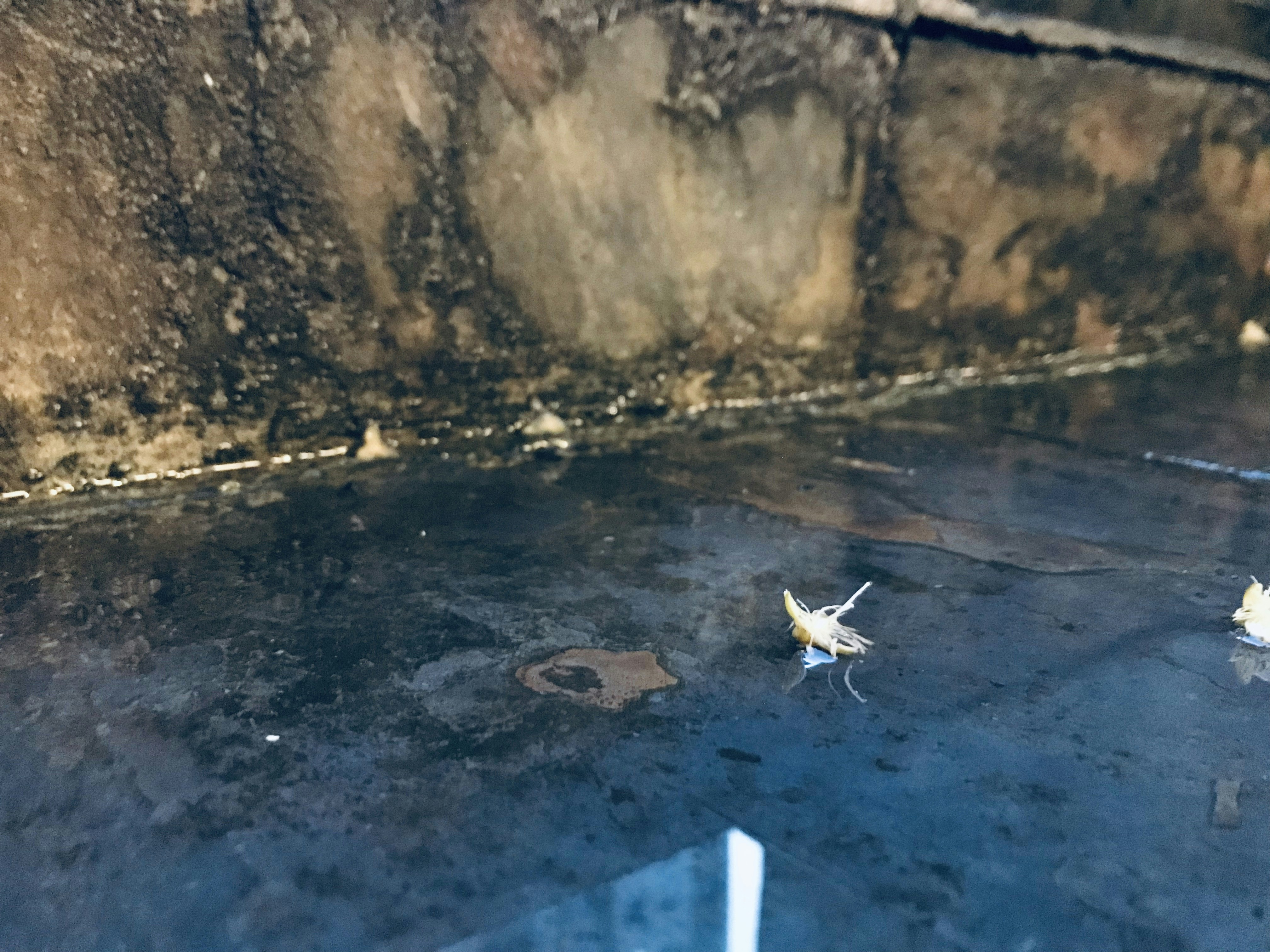 에어컨 필터 청소 안 하고 돌리면 곰팡이 날아다닙니다