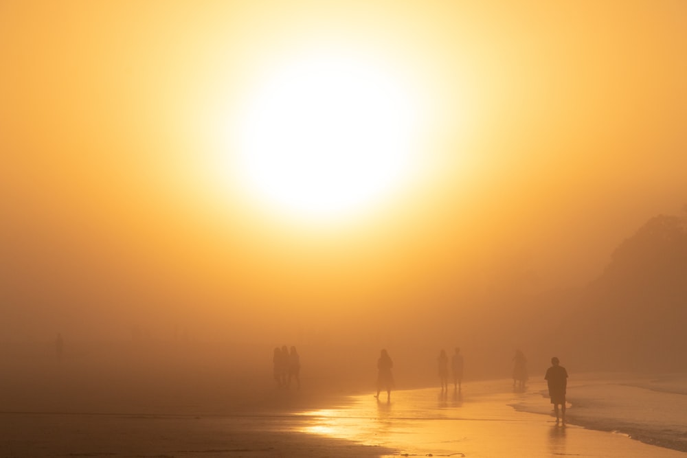 a group of people walking on a beach at sunset