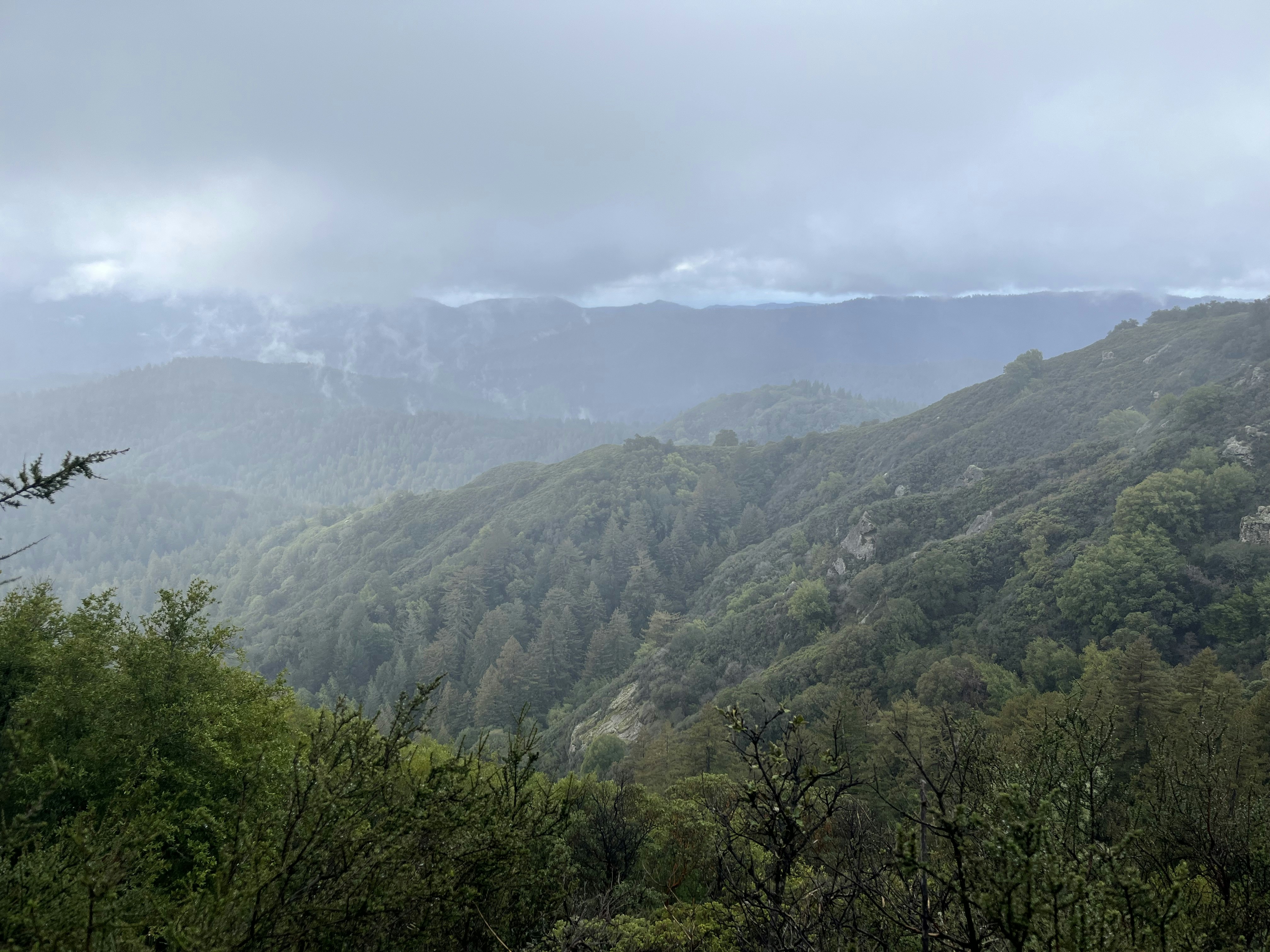 a view of a mountain range with trees in the foreground, 