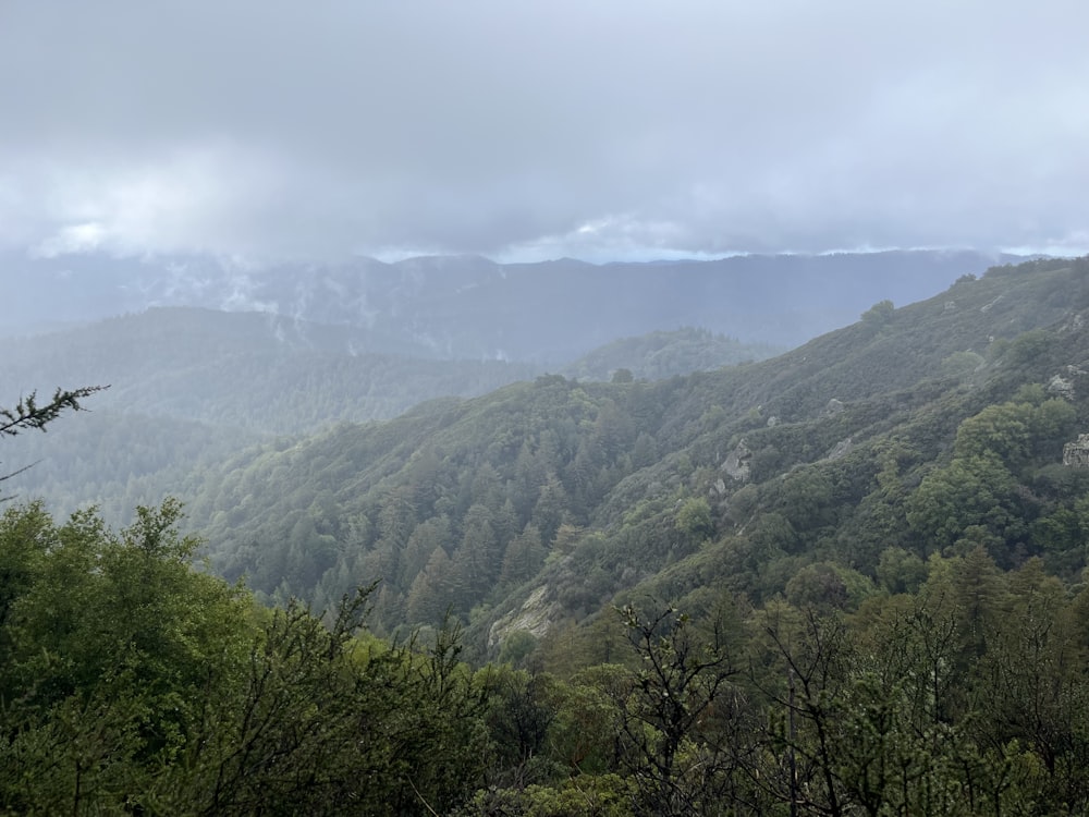 a view of a mountain range with trees in the foreground