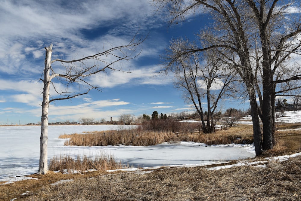 a snow covered field next to a body of water