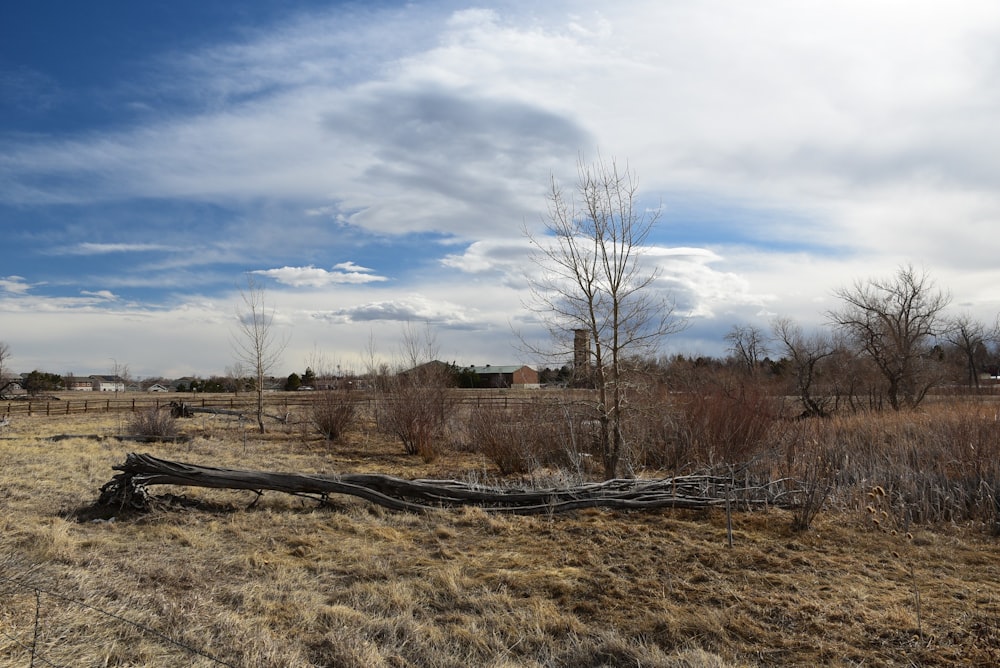 a field with a fallen tree in the middle of it