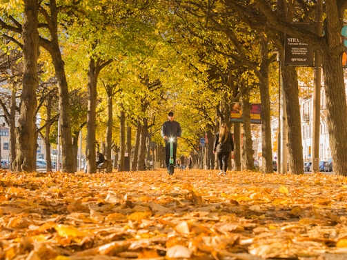A joyful family bike ride on a tree-lined path during autumn.