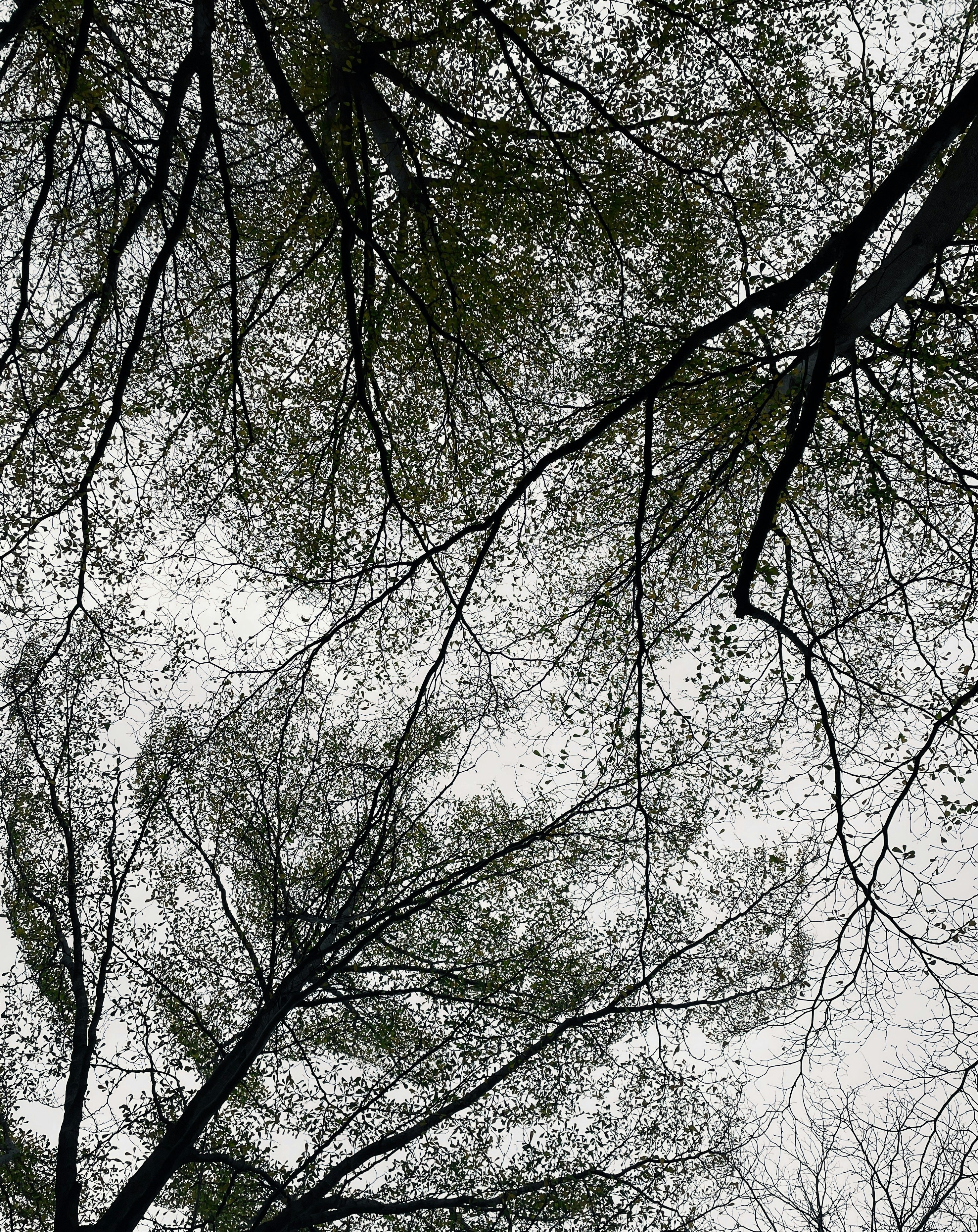 Photo by edward_cchou