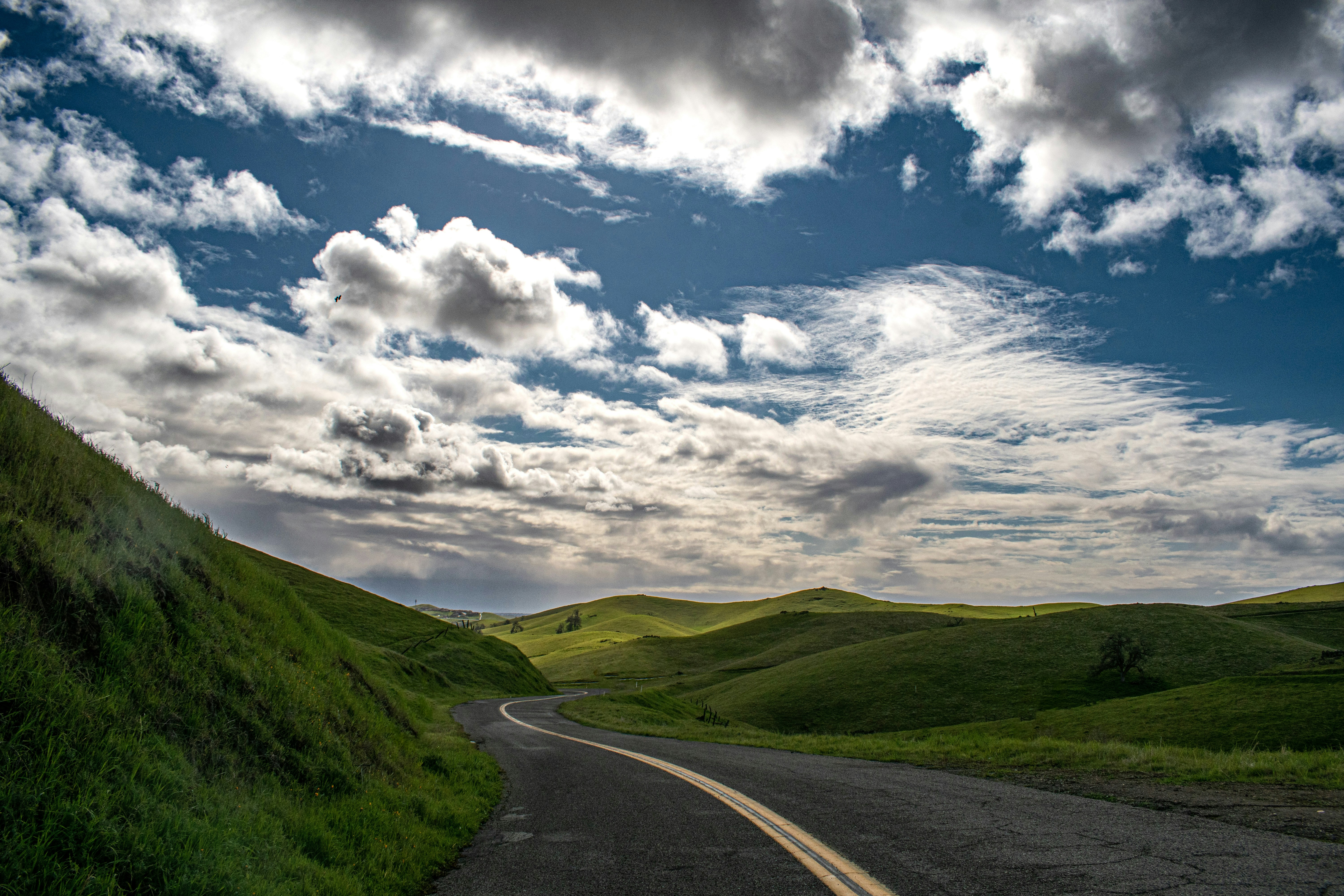 Photo by elisastonephotography