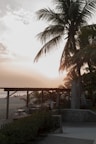 A serene beach setting with tall palm trees, soft sunlight filtering through the leaves, and a wooden pergola structure. Several tables and chairs are set up near the beach, with the ocean visible in the background. The sky is partially cloudy, with a warm glow from the sun.