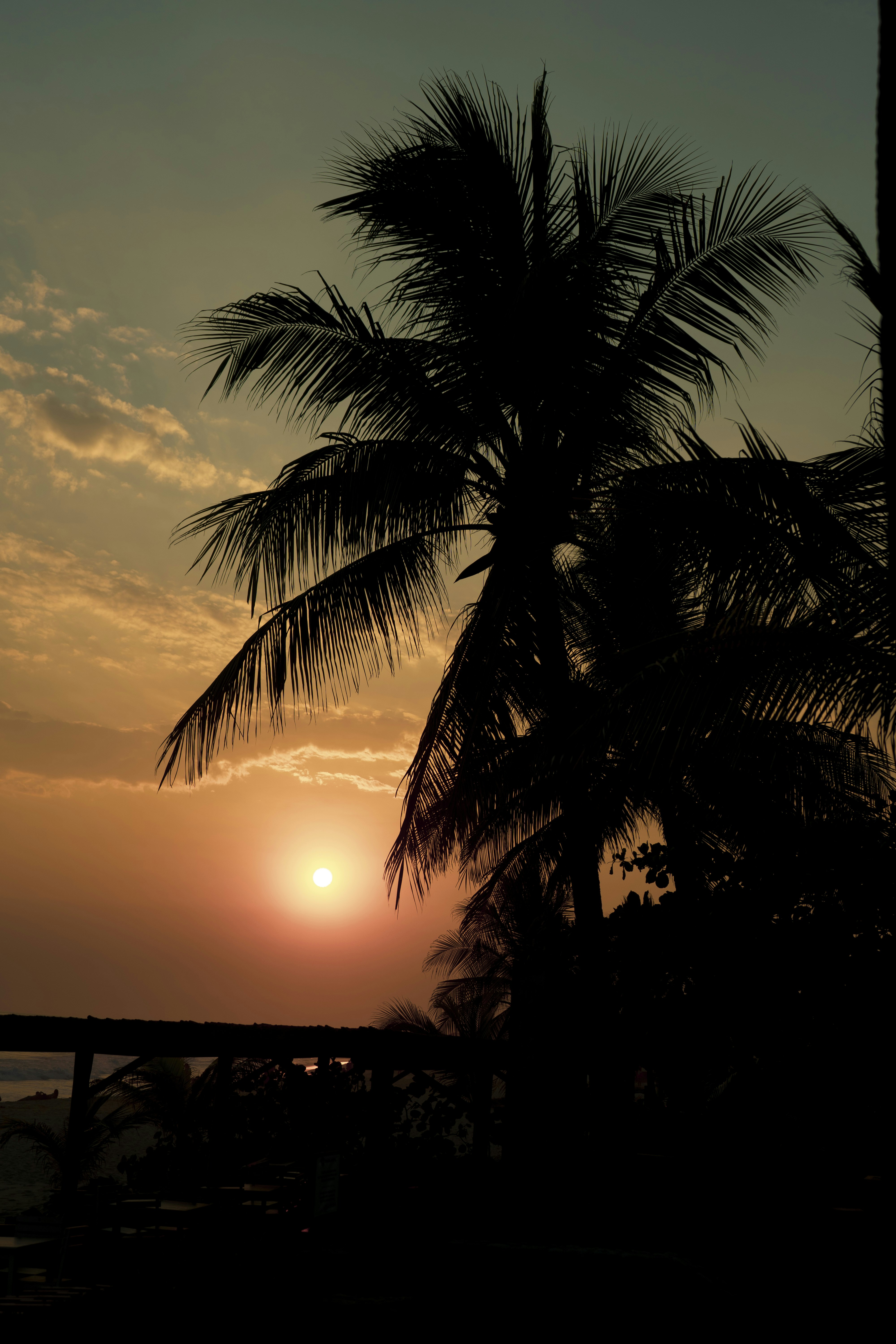 Photo by nicetunic0487