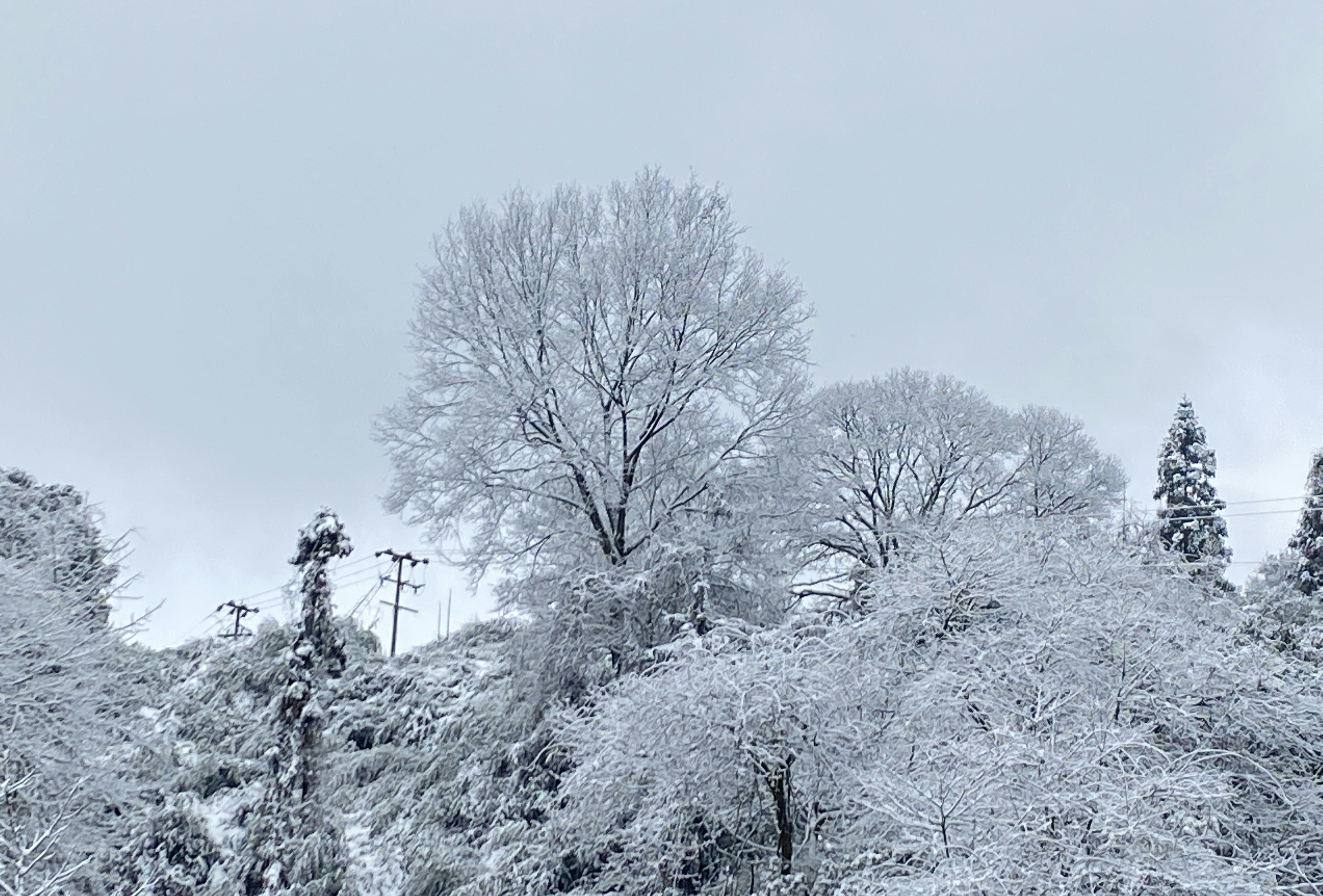 Photo by maro_of_sengu