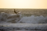 A surfer rides a wave on the ocean, with sunlight casting a warm glow over the scene. The water is choppy, and the surfer is skillfully balancing on the board amidst the crashing waves.