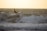 A happy surfer riding a wave on a ChargerHub surfboard.