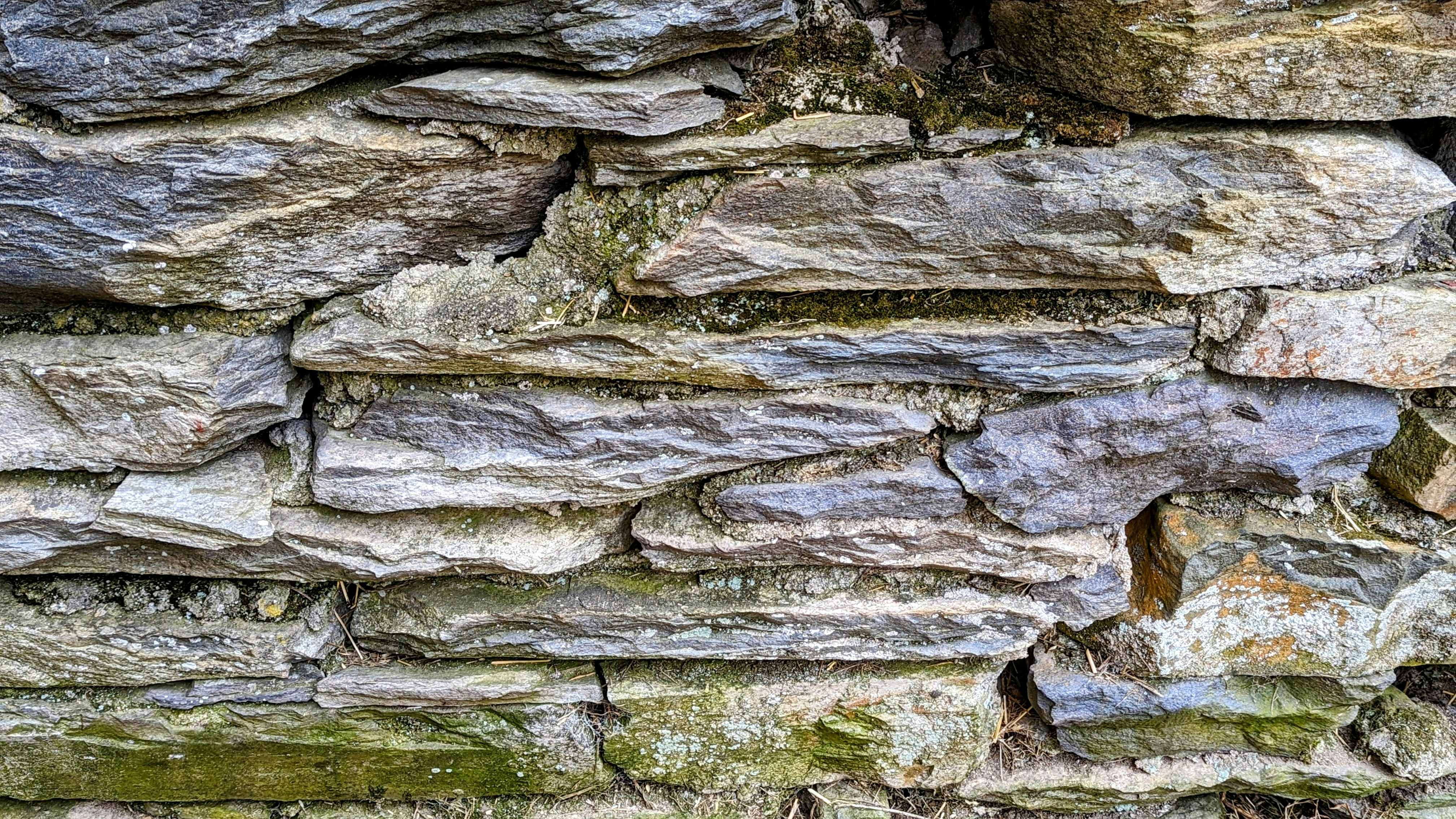 Photo by muddytoesfarm_llc