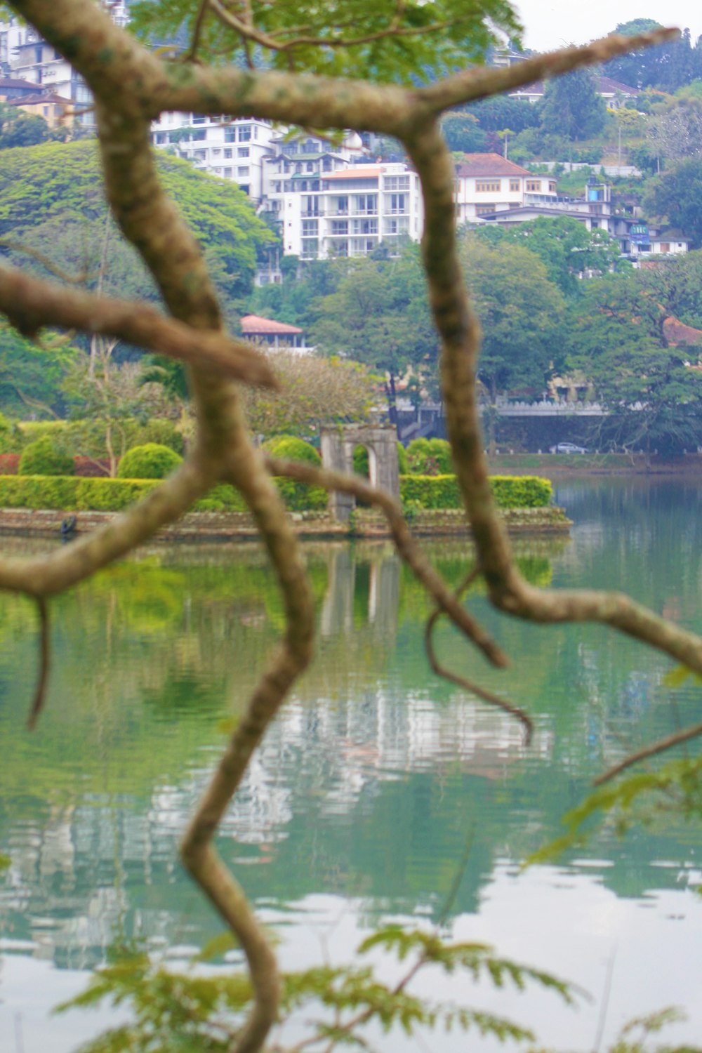 a large body of water surrounded by trees