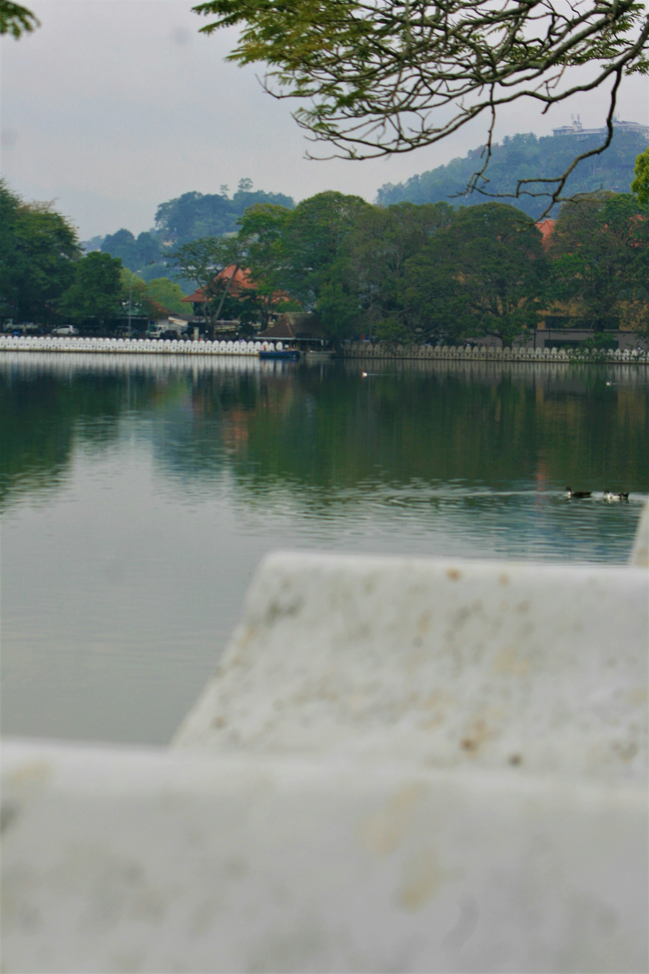 A bench sitting on the side of a lake photo – Free Kandy Image on Unsplash
