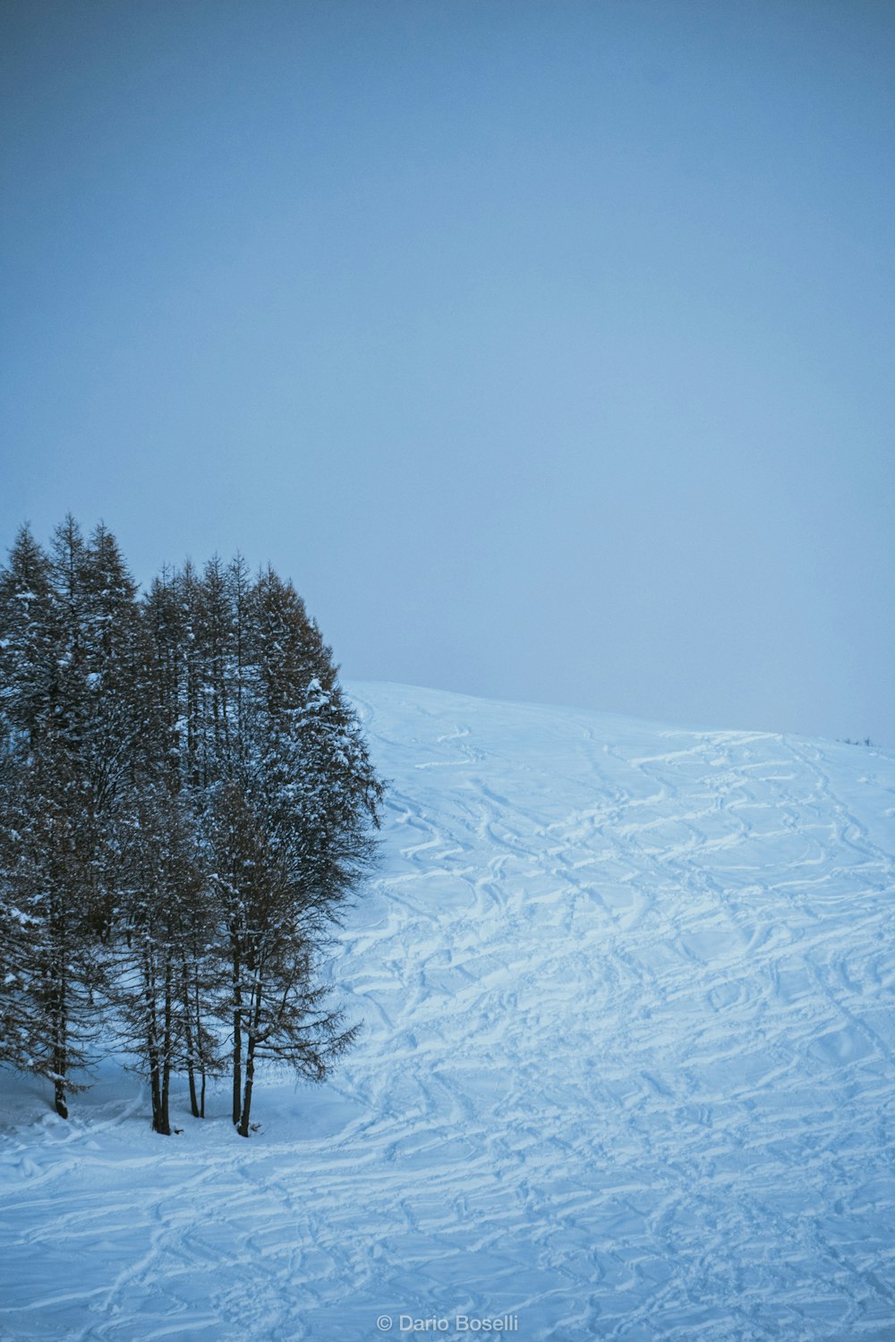 a person riding skis on a snowy surface