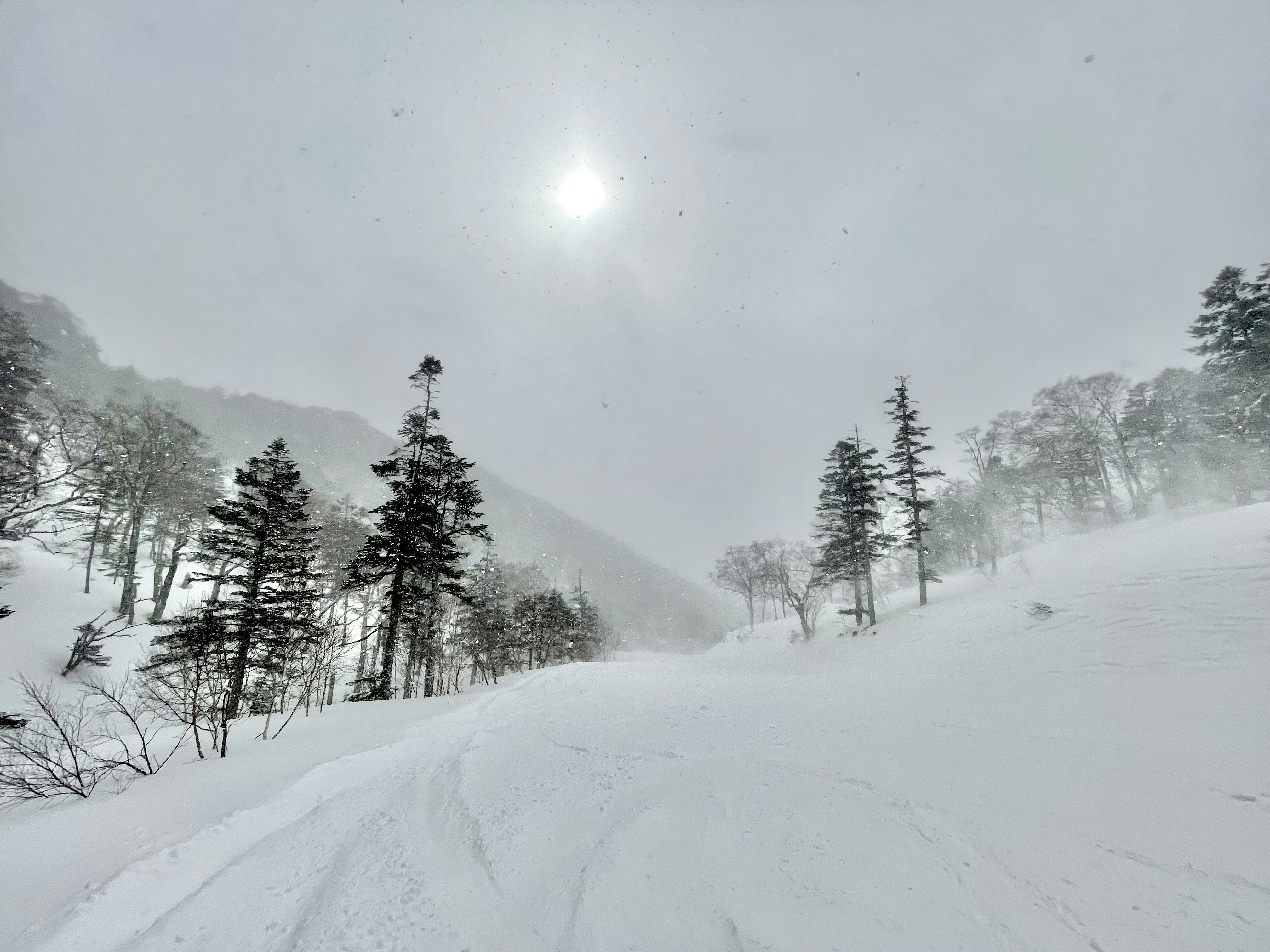 Snow covered ski slope with trees in the background